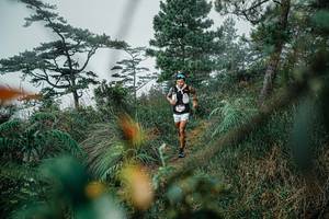 BIB: 
                            <button type="button" onclick="openModal(25258759)" class="btn btn-primary btn-sm float-right btn-popup" data-toggle="modal" data-target=".modal-high-quality">
                        <i class="fas fa-shopping-cart"></i> Add to Cart
                    </button>
                                            <button type="button" onclick="isThisMe(25258759, true)" class="btn btn-success btn-sm float-right btn-popup btn-isme hidden" data-toggle="tooltip" data-placement="bottom" title="นี่คือรูปของคุณใช่ไหม คลิกที่นี่เพื่อเอาเข้าอัลบั้ม">
                        <i class="fas fa-plus"></i> Add to album
                    </button>
                    <button type="button" onclick="isThisMe(25258759, false)" class="btn btn-warning btn-sm float-right btn-popup btn-isnotme hidden">
                        <i class="fas fa-ban"></i> Remove from album
                    </button>